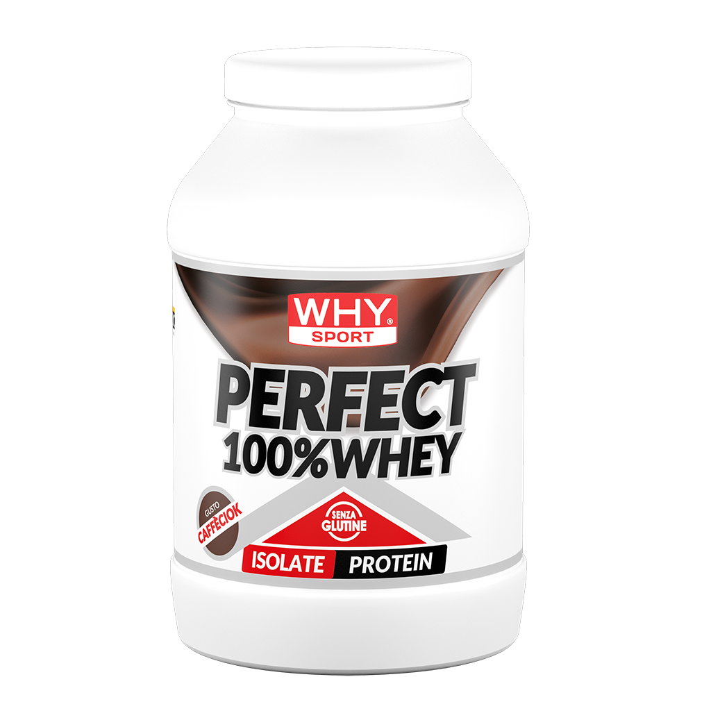 PERFECT WHEY 900g