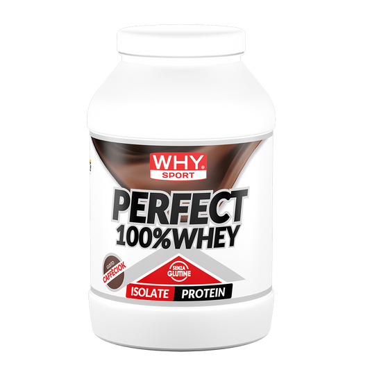 PERFECT WHEY 900g